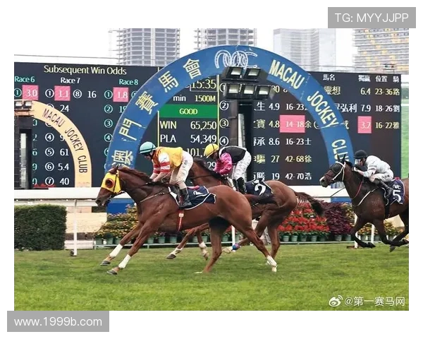 威廉希尔体育的热门赛事投注指南与技巧